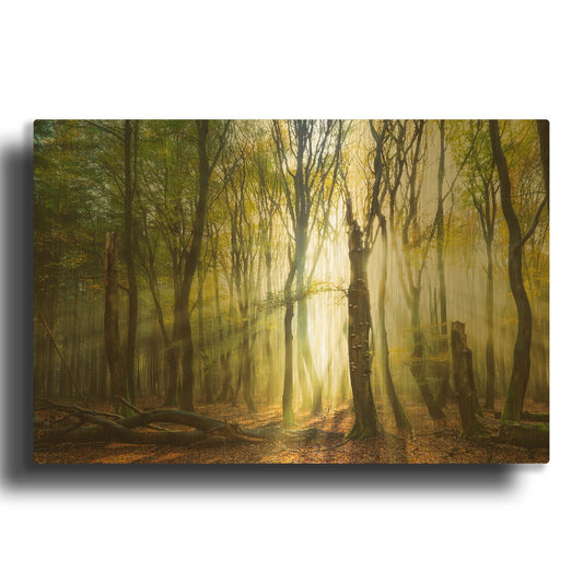 'Still Standing' By Lars van de Goor Gold Metal Wall Art