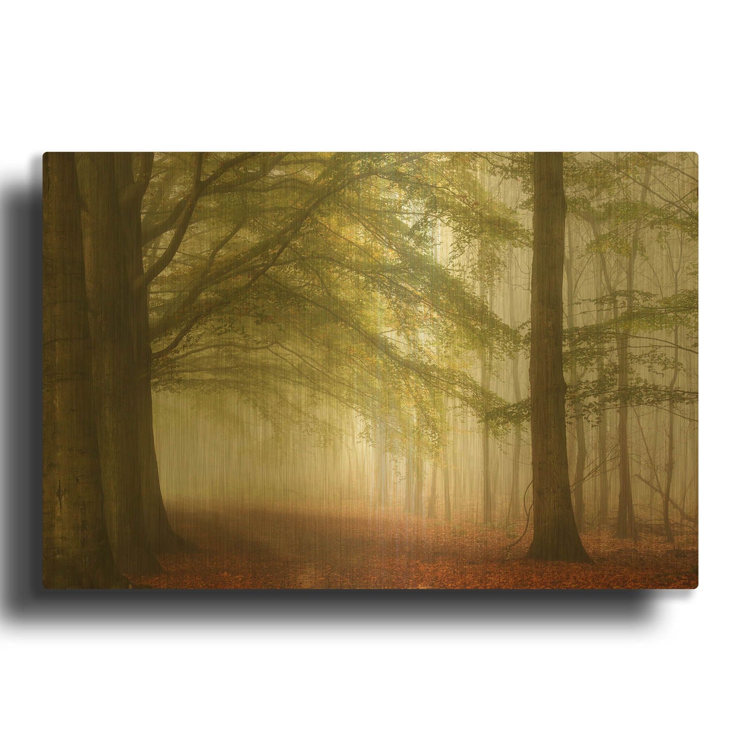 'Dreamwalkers' By Lars van de Goor Gold Metal Wall Art
