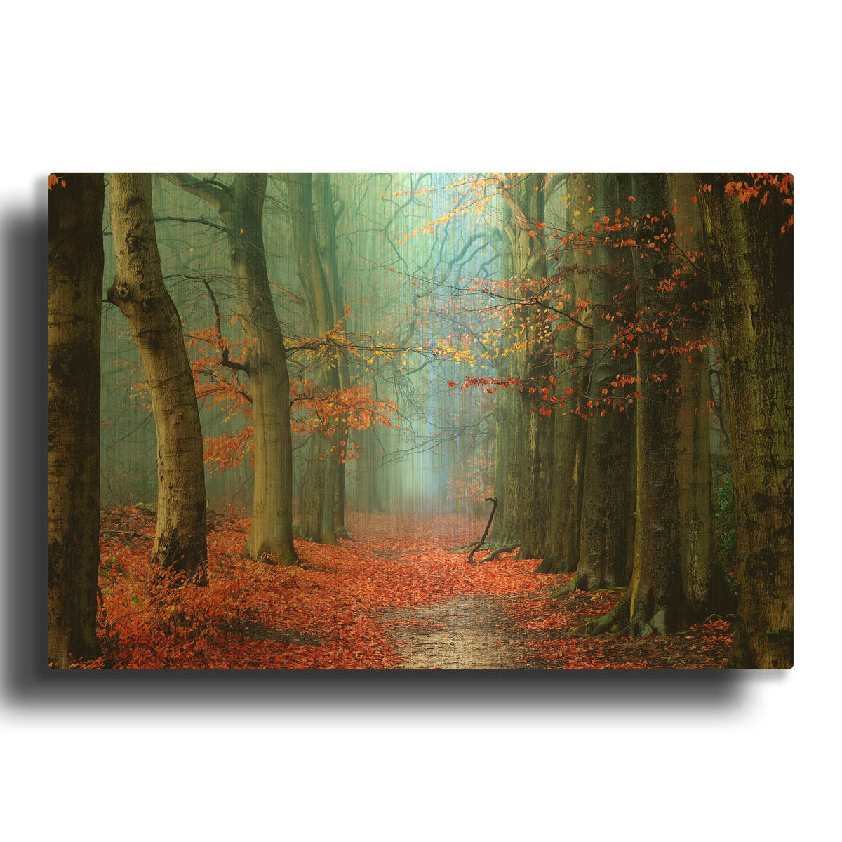 'Bussum in Fall' By Lars van de Goor Gold Metal Wall Art