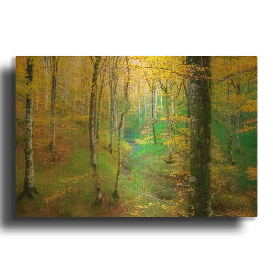 'Dream of Birches' By Lars van de Goor Gold Metal Wall Art
