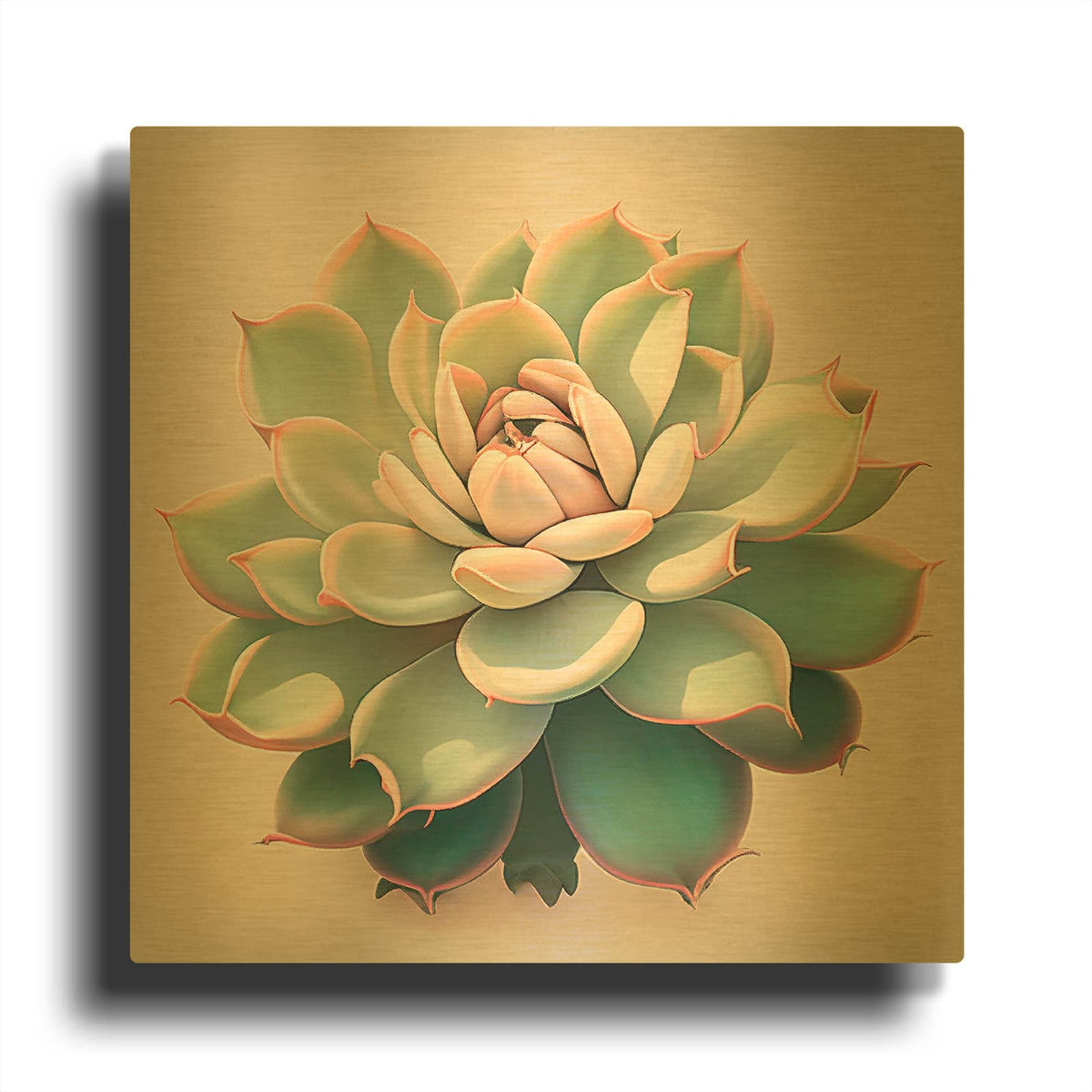 'Echeveria Pulidinis' By Incado Gold Metal Wall Art