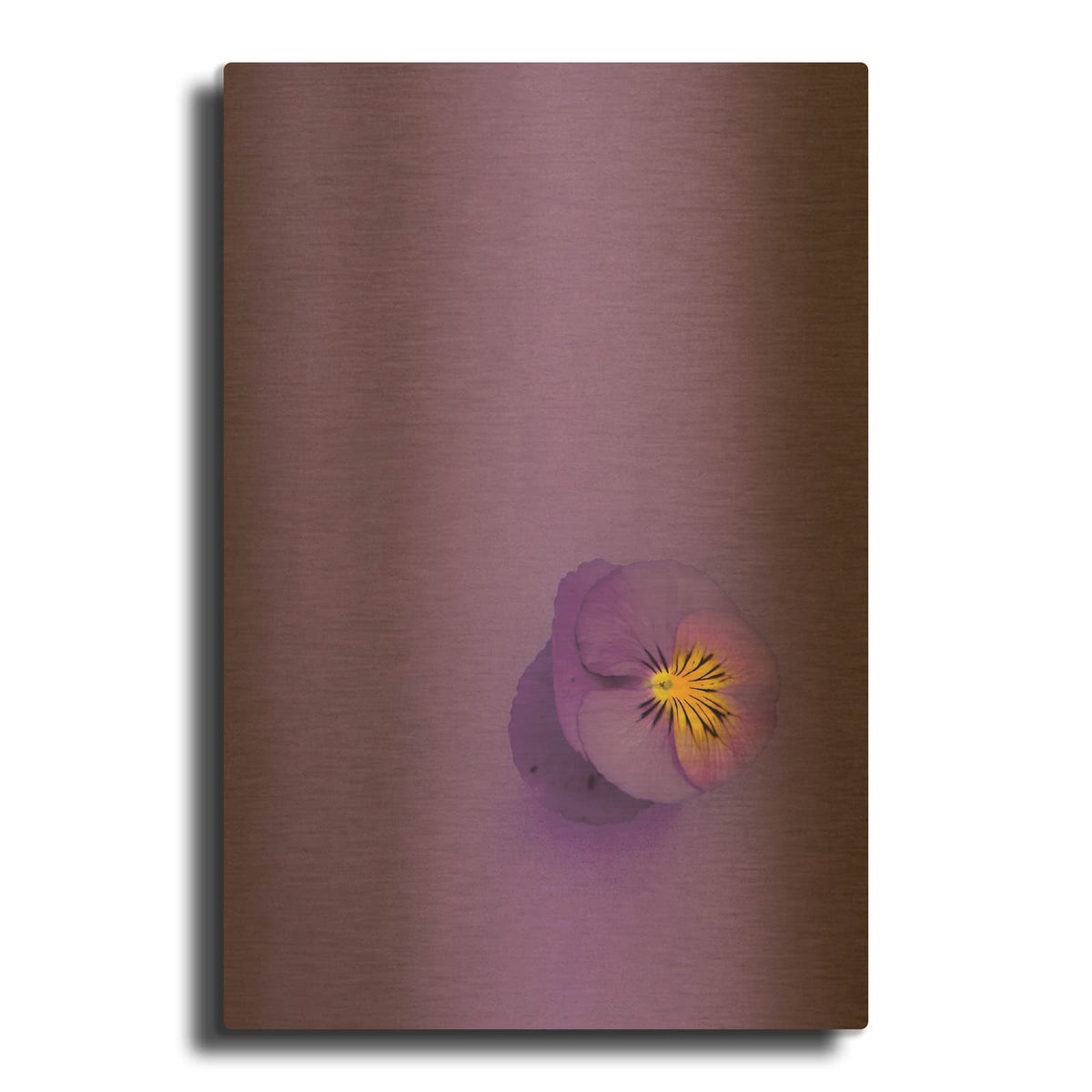 'Lavender Pansy' By Incado Gold Metal Wall Art