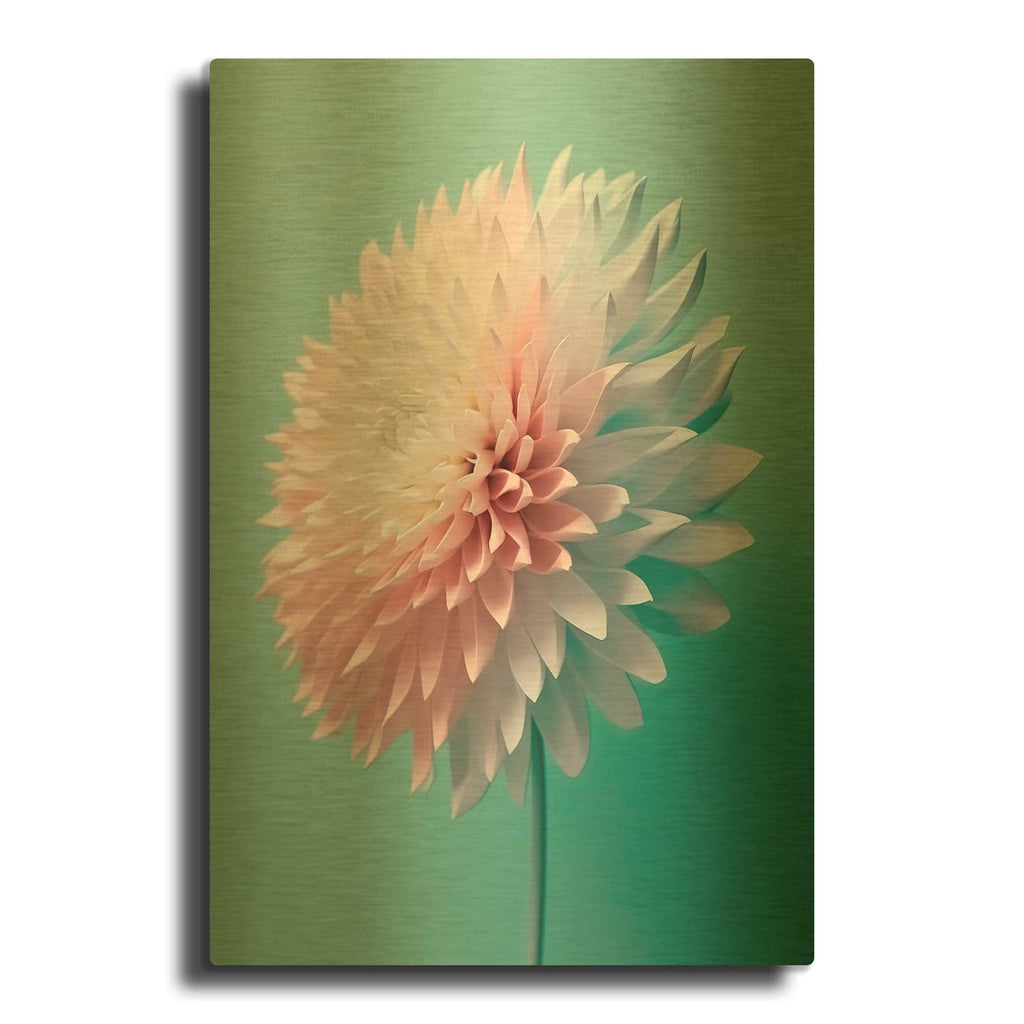 'Pink Bliss' By Incado Gold Metal Wall Art