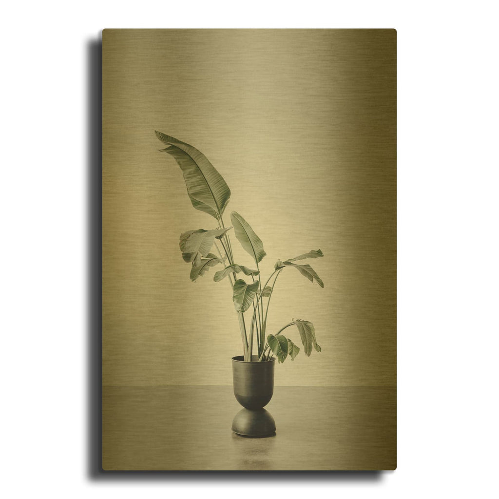 'Portrait Of A Plant' By Incado Gold Metal Wall Art