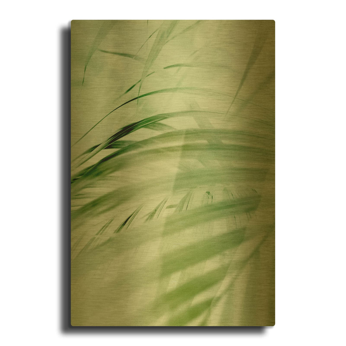 'Sage Palm' By Incado Gold Metal Wall Art