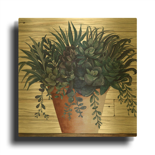 'Remarkable Succulents I' By Cindy Jacobs Gold Metal Wall Art