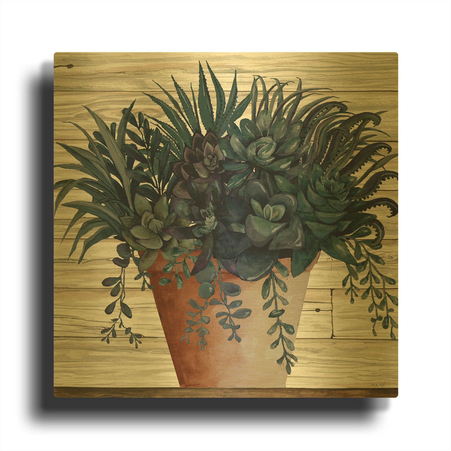 'Remarkable Succulents I' By Cindy Jacobs Gold Metal Wall Art