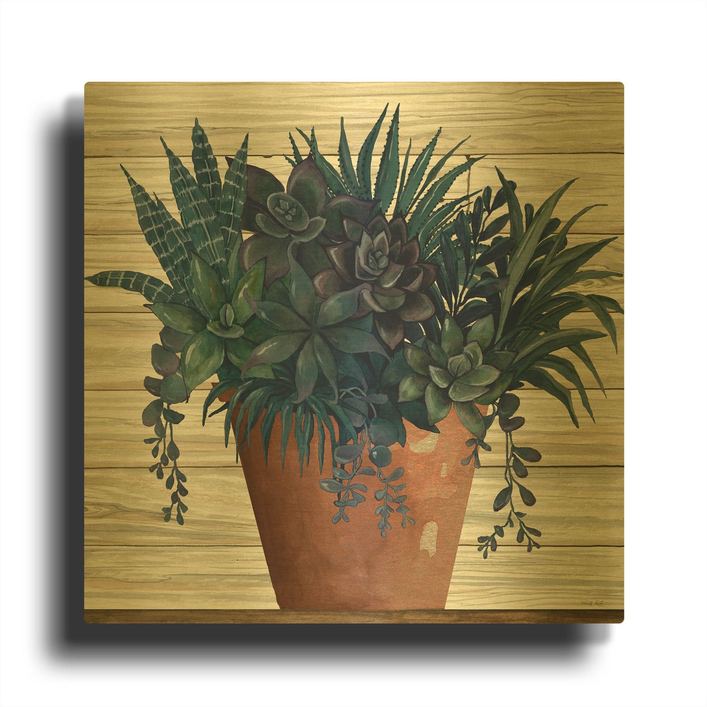 'Remarkable Succulents II' By Cindy Jacobs Gold Metal Wall Art