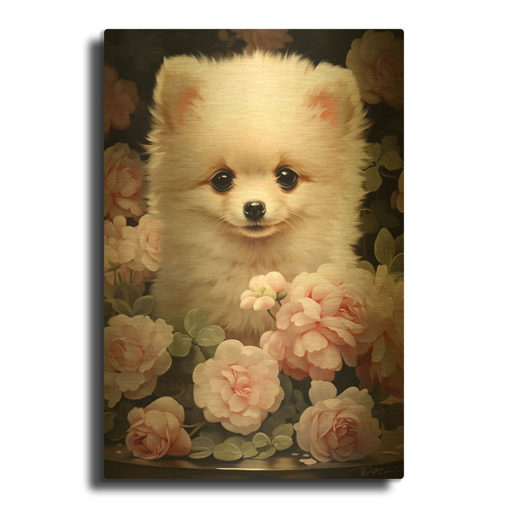 'Pomeranian Among The Roses' By Momart Gold Metal Wall Art