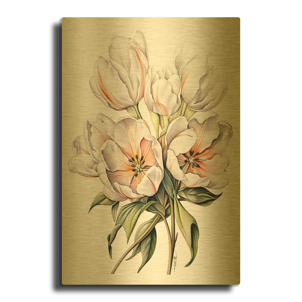 'Tulips Drawing In Pencil' By Momart Gold Metal Wall Art