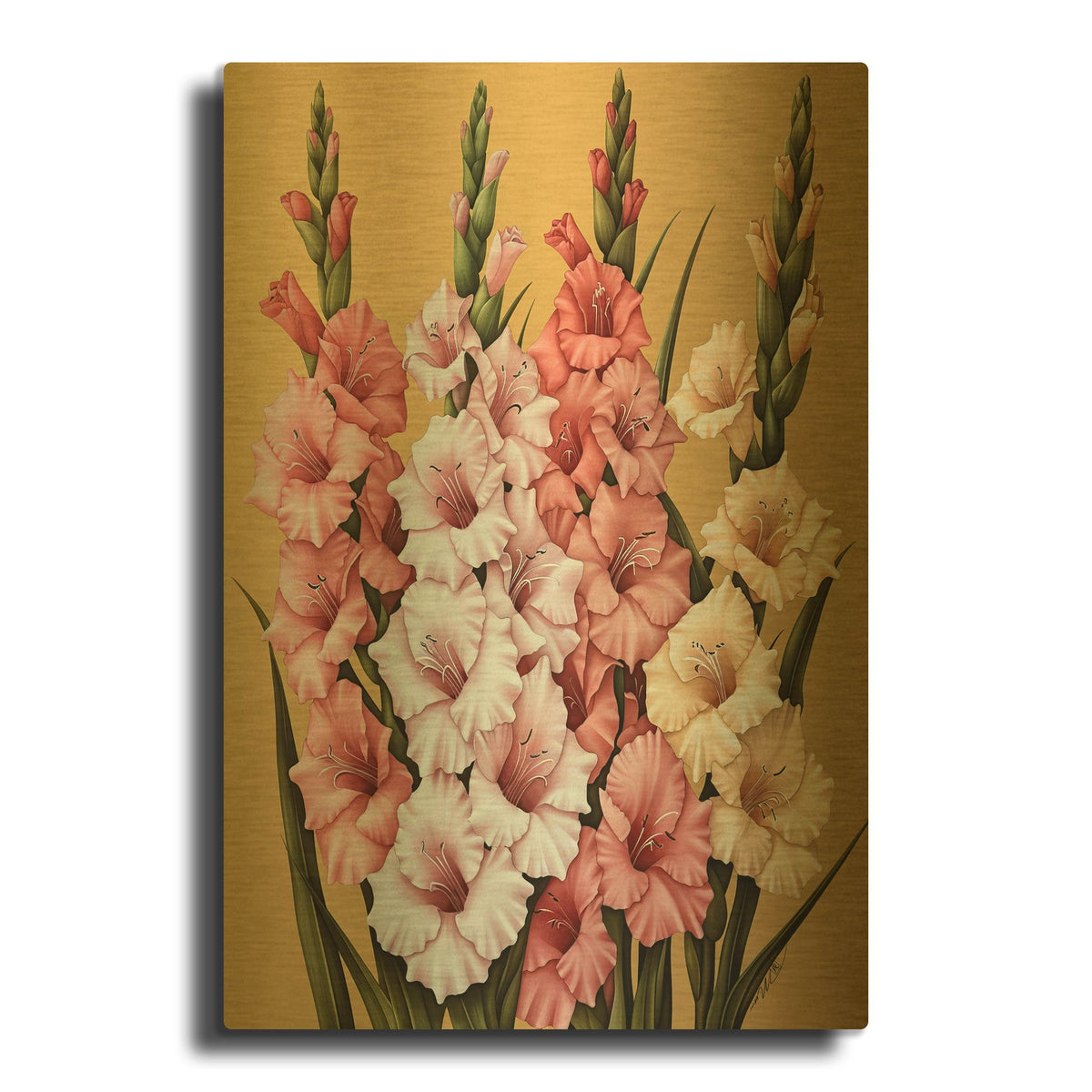 'White And Yellow Pink Gladioli' By Momart Gold Metal Wall Art