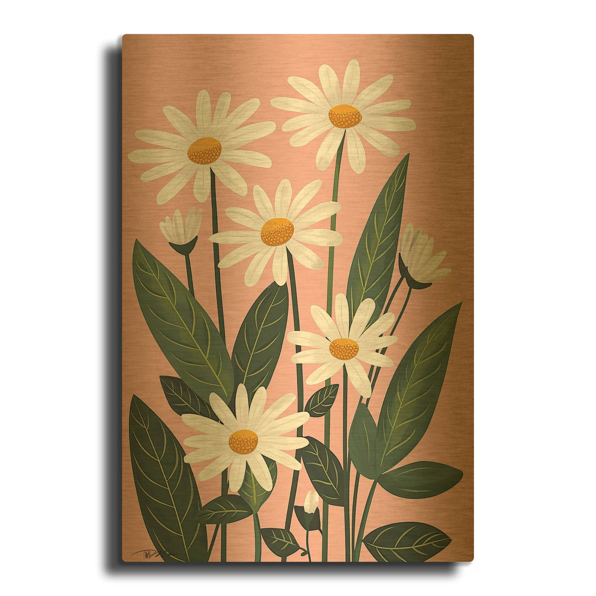 'White Daisies On Pink Background' By Momart Gold Metal Wall Art