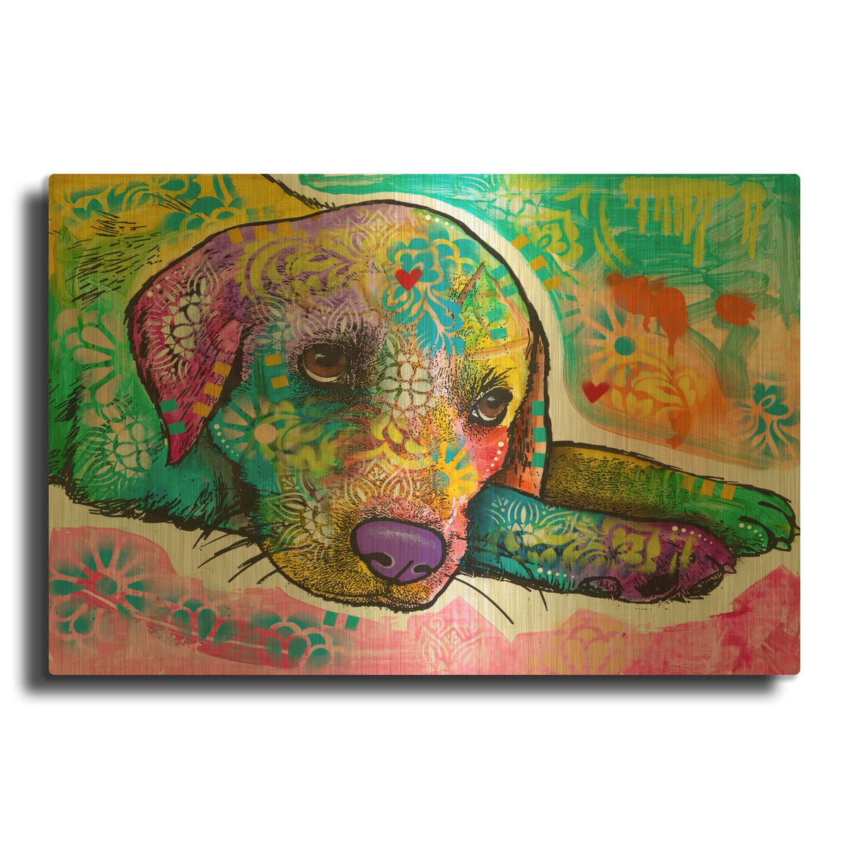 'Puppy Eyes I' By Dean Russo Gold Metal Wall Art