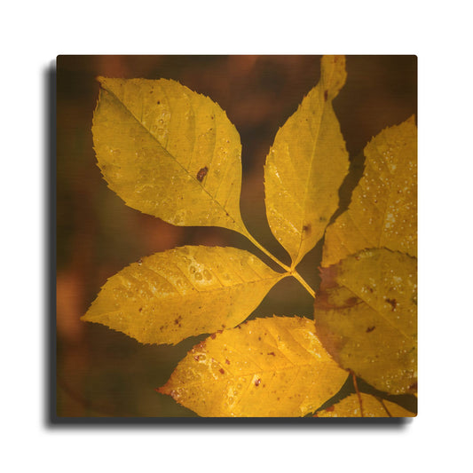 'Autumn 11' By Gordon Semmens Gold Metal Wall Art