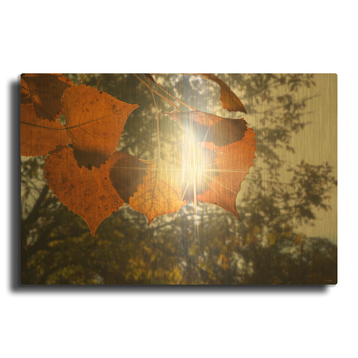 'Autumn 22' By Gordon Semmens Gold Metal Wall Art