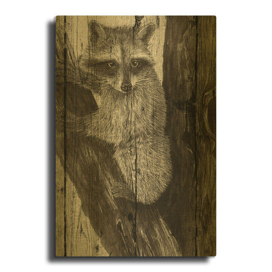 'Baby In A Tree 02' By Gordon Semmens Gold Metal Wall Art