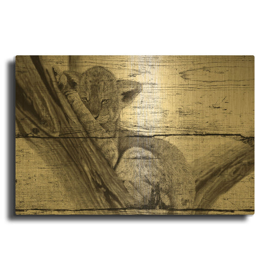 'Baby In A Tree 03' By Gordon Semmens Gold Metal Wall Art