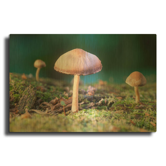 'Buffalo River 2023 01' By Gordon Semmens Gold Metal Wall Art