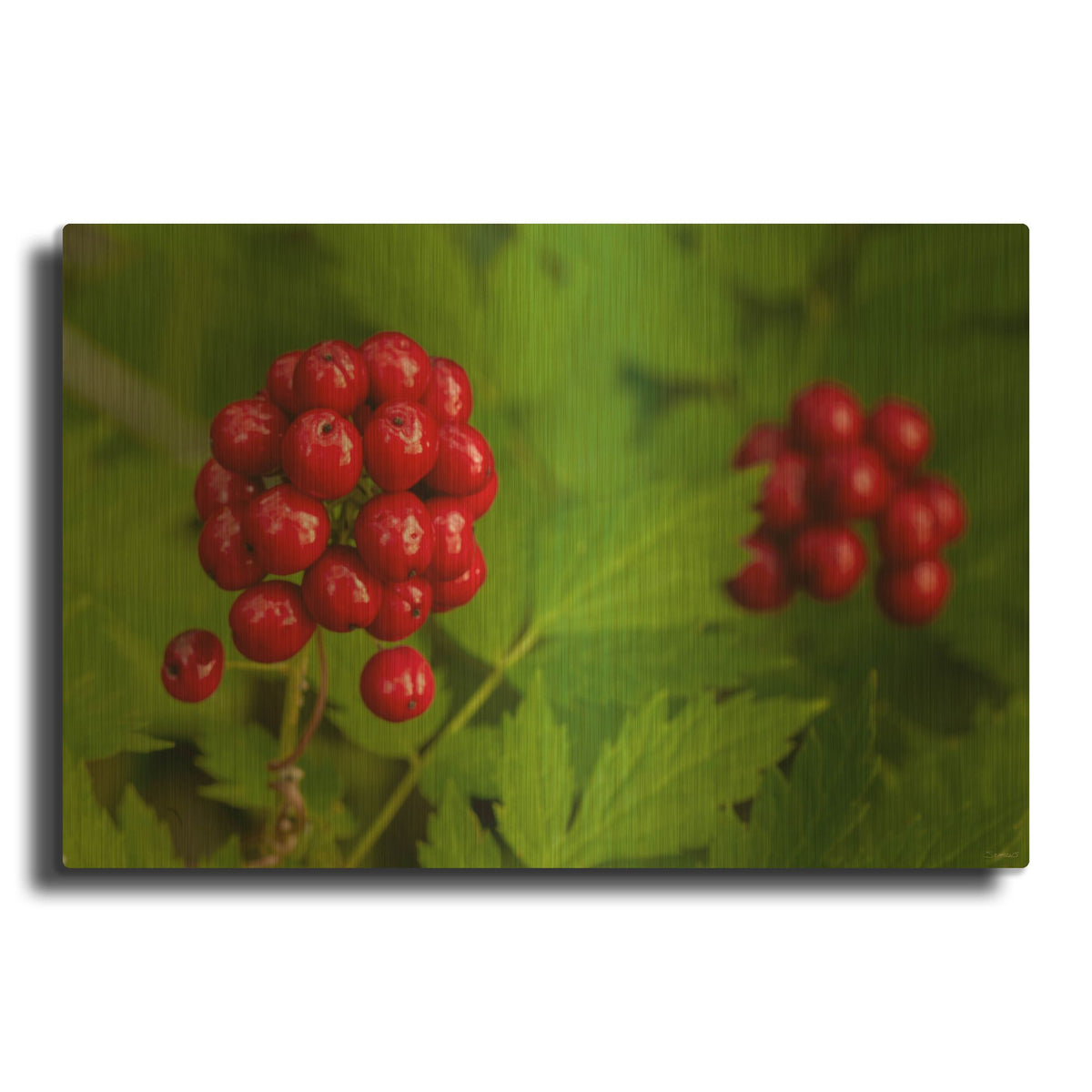 'Buffalo River 2023 05' By Gordon Semmens Gold Metal Wall Art