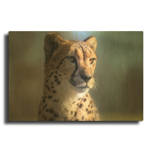 'Cheetah 1' By Gordon Semmens Gold Metal Wall Art