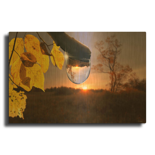 'Dewdrop Sunrise' By Gordon Semmens Gold Metal Wall Art