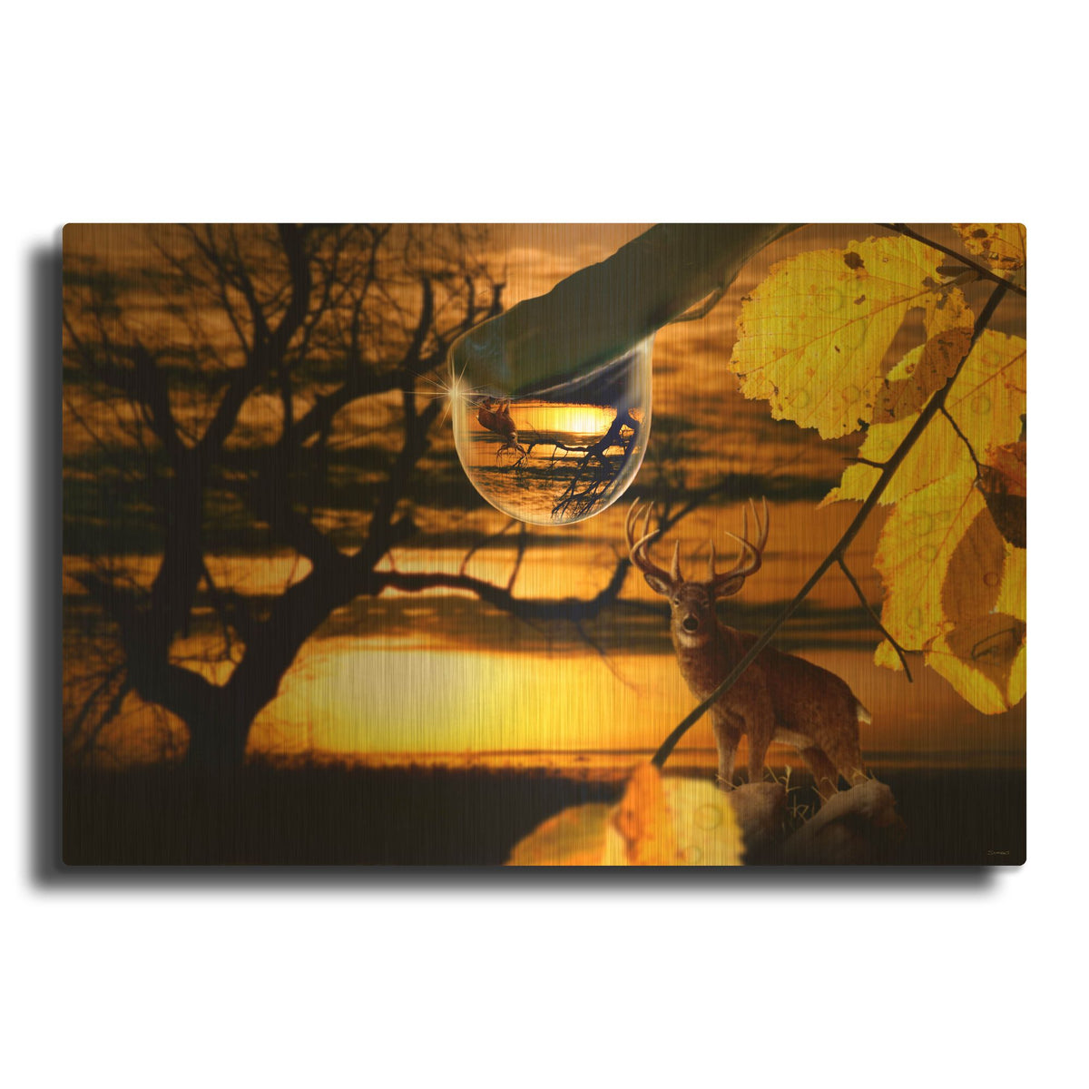 'Dewdrop Sunset' By Gordon Semmens Gold Metal Wall Art