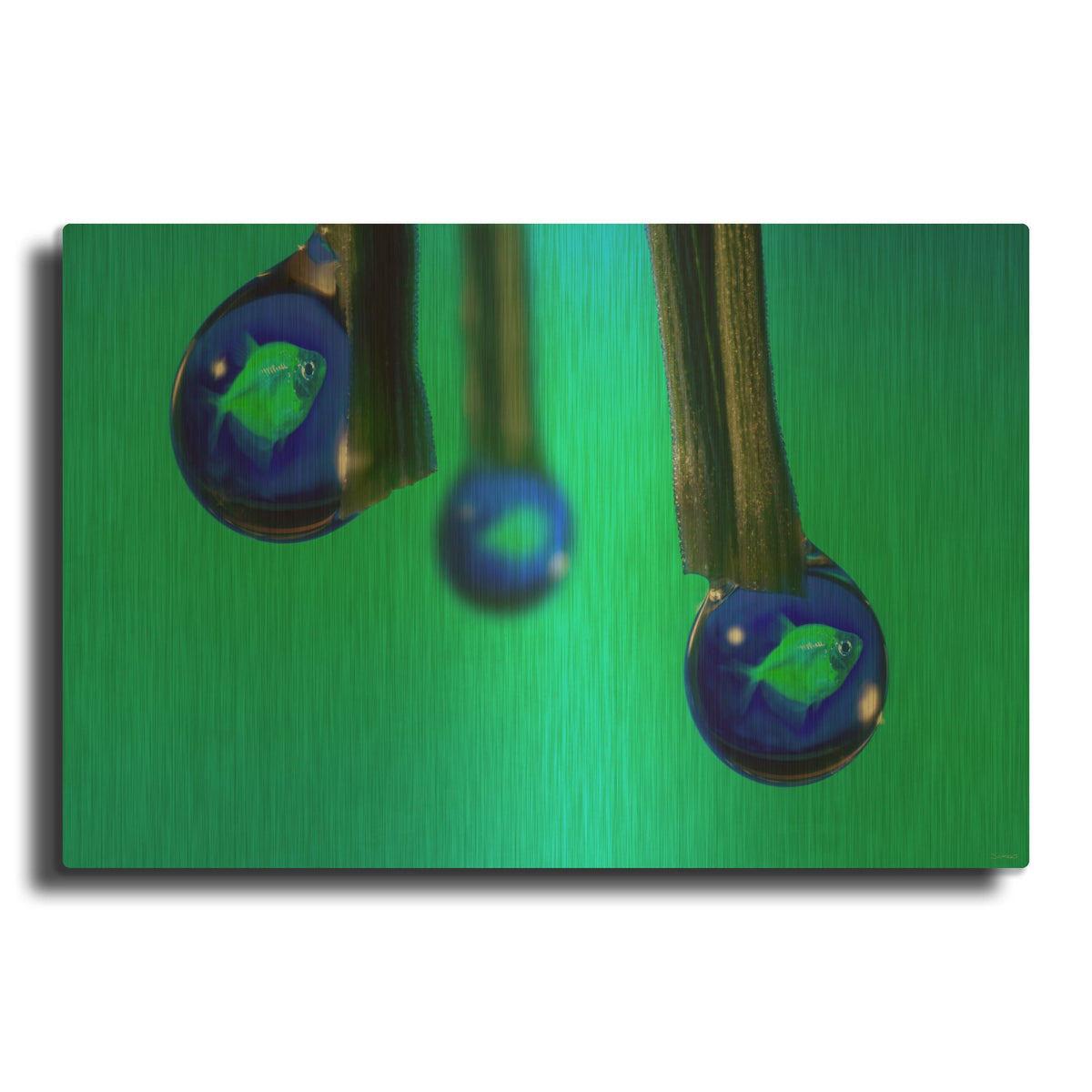 'Fish In A Drop 1' By Gordon Semmens Gold Metal Wall Art