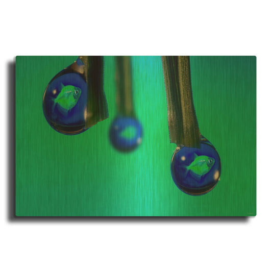 'Fish In A Drop 1' By Gordon Semmens Gold Metal Wall Art