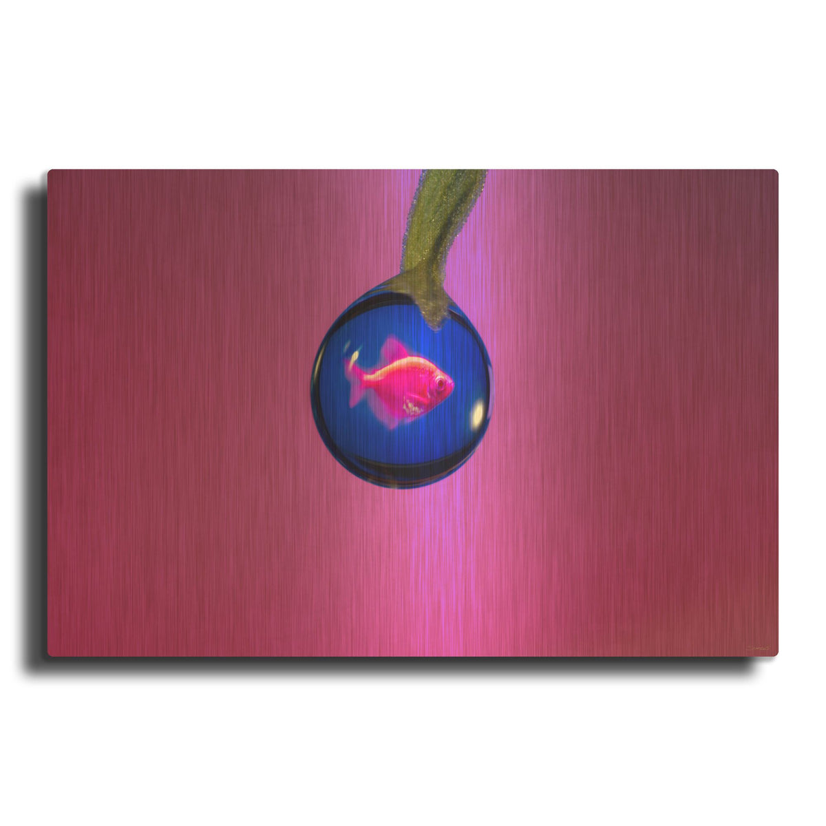 'Fish In A Drop 2' By Gordon Semmens Gold Metal Wall Art
