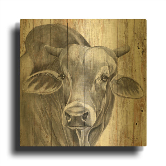 'Eyes Wide Open' By Diane Fifer Gold Metal Wall Art