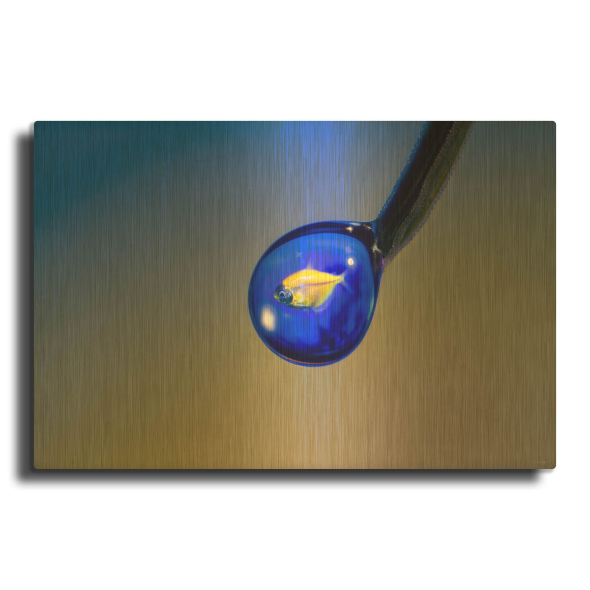'Fish In A Drop 5' By Gordon Semmens Gold Metal Wall Art