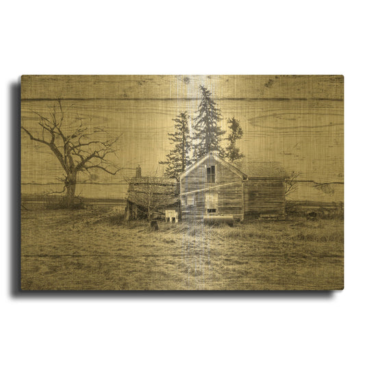 'Lost Farmstead On The Prairie 007' By Gordon Semmens Gold Metal Wall Art