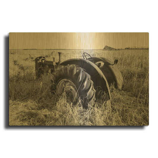 'Lost Farmstead On The Prairie 026' By Gordon Semmens Gold Metal Wall Art
