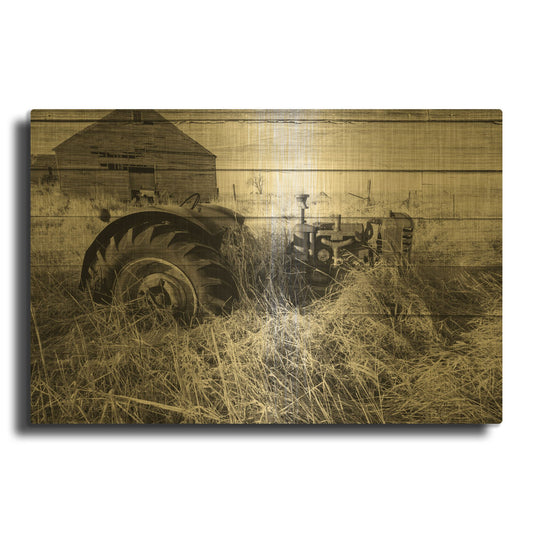 'Lost Farmstead On The Prairie 029' By Gordon Semmens Gold Metal Wall Art