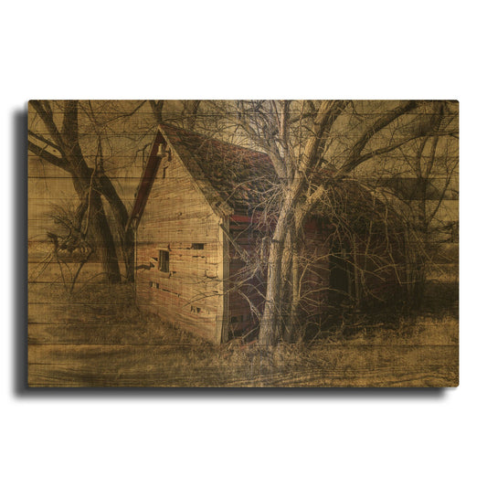 'Lost Farmstead On The Prairie 058' By Gordon Semmens Gold Metal Wall Art