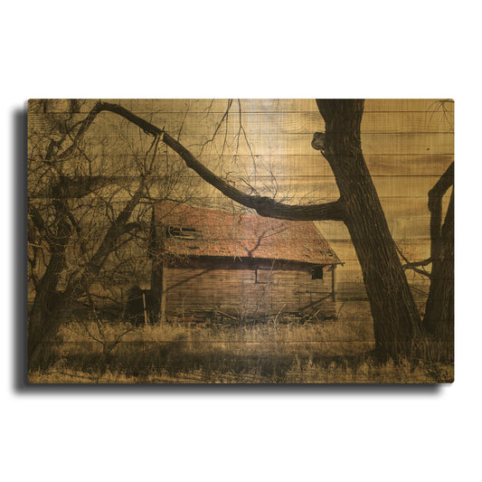 'Lost Farmstead On The Prairie 059' By Gordon Semmens Gold Metal Wall Art