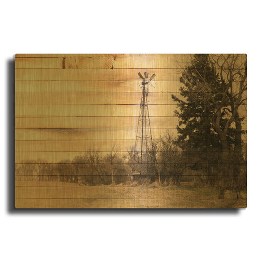 'Lost Farmstead On The Prairie 078' By Gordon Semmens Gold Metal Wall Art