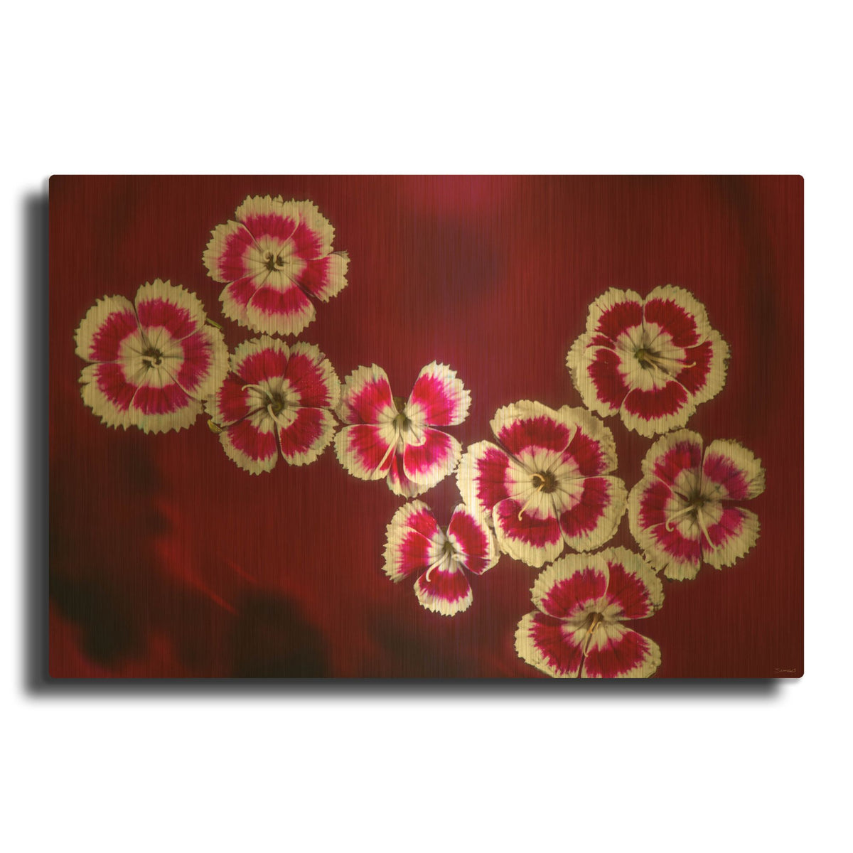'Macro Flowers 02' By Gordon Semmens Gold Metal Wall Art