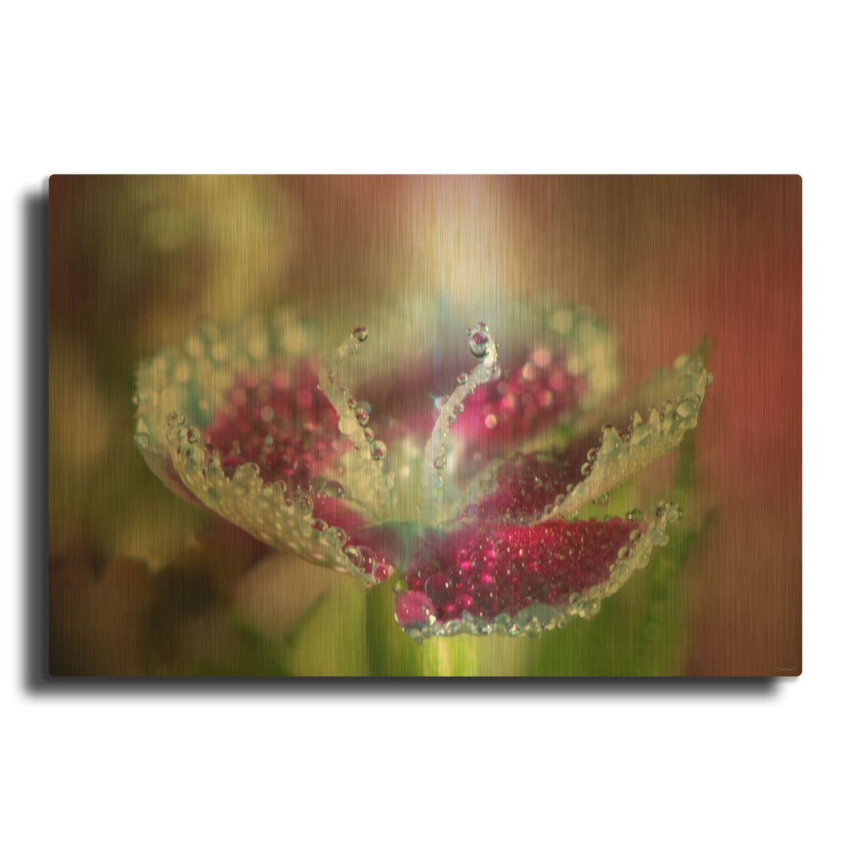 'Macro Flowers 05' By Gordon Semmens Gold Metal Wall Art