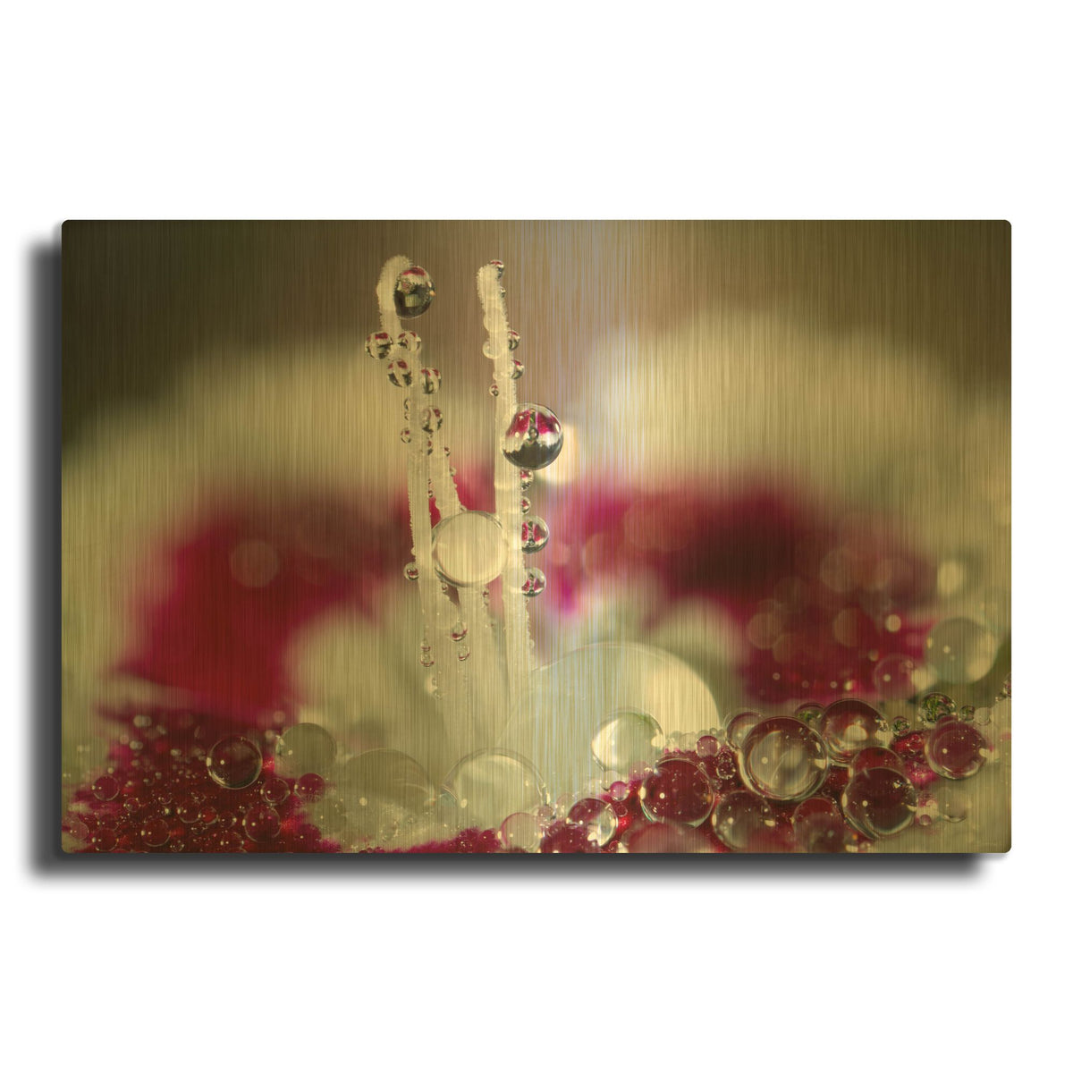 'Macro Flowers 07' By Gordon Semmens Gold Metal Wall Art