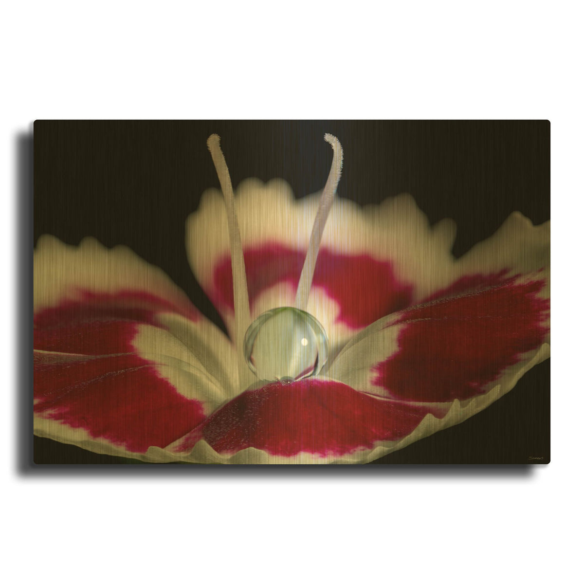 'Macro Flowers 12' By Gordon Semmens Gold Metal Wall Art