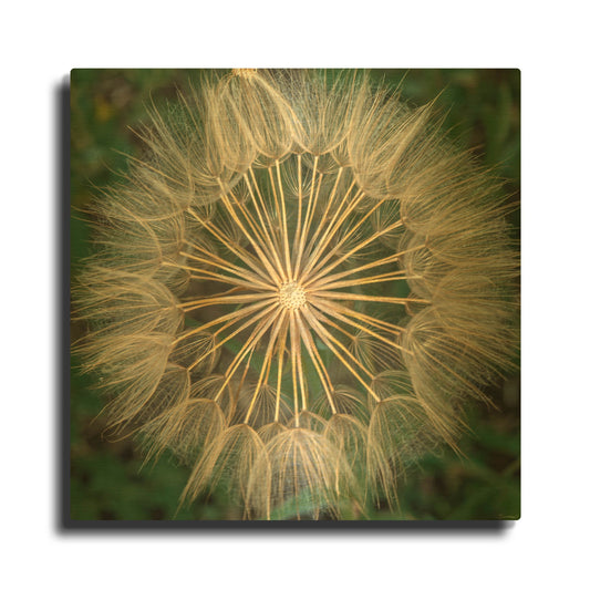 'Red River Of The North 03' By Gordon Semmens Gold Metal Wall Art
