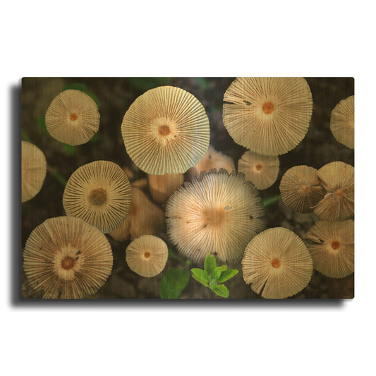 'Red River Of The North 06' By Gordon Semmens Gold Metal Wall Art