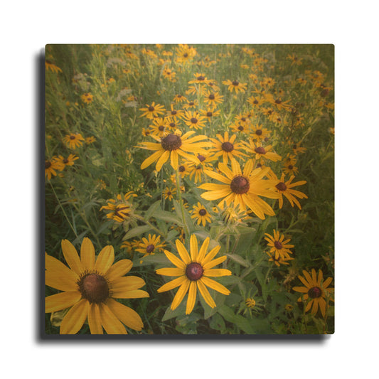'Red River Of The North 11' By Gordon Semmens Gold Metal Wall Art