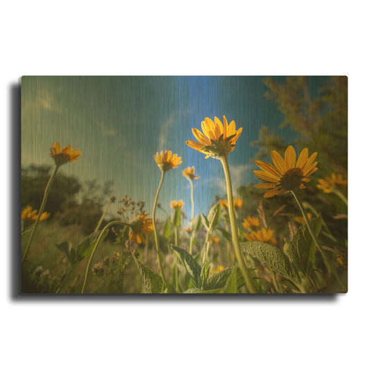 'Red River Of The North 16' By Gordon Semmens Gold Metal Wall Art