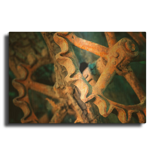 'Red River Rust 06' By Gordon Semmens Gold Metal Wall Art