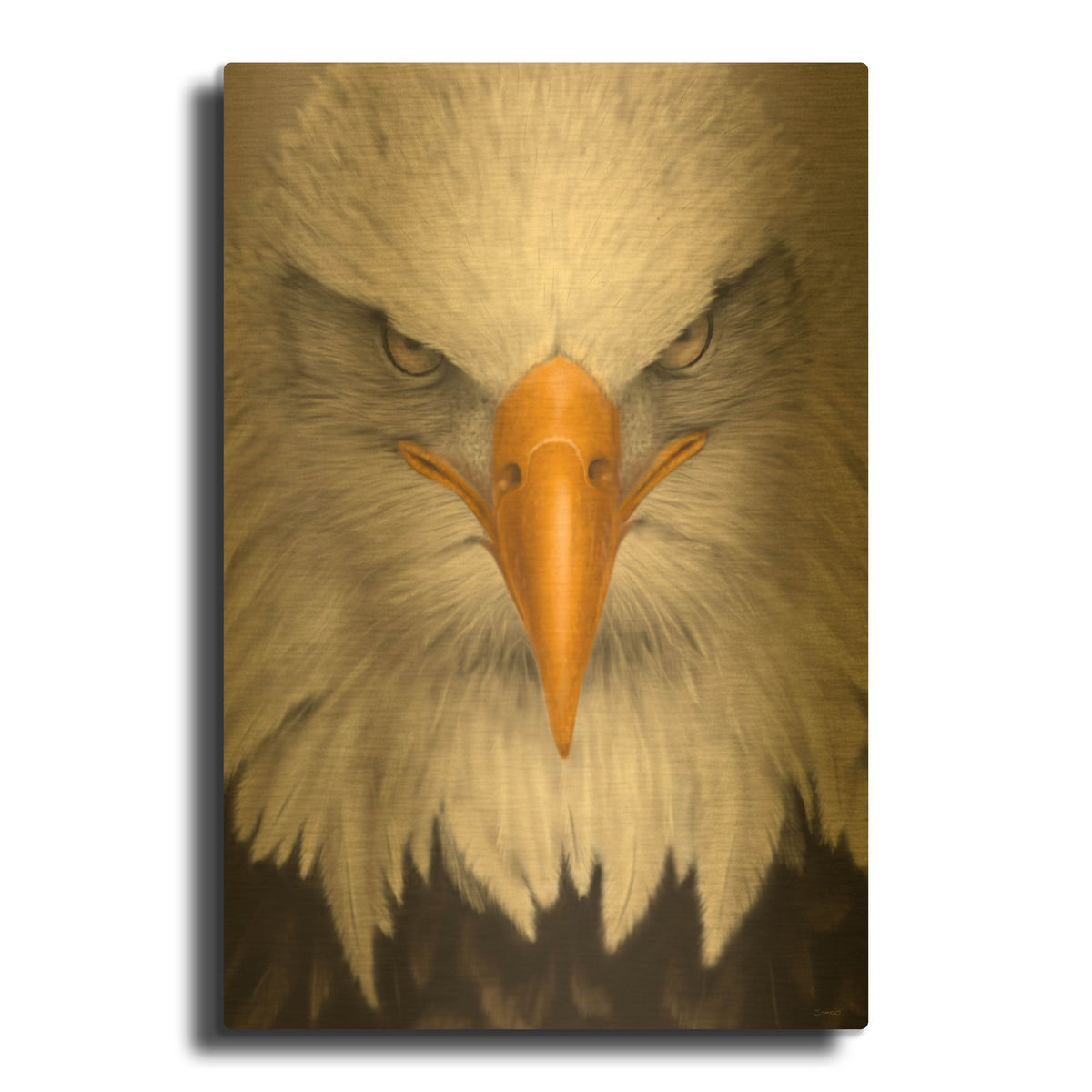 'Stare Down' By Gordon Semmens Gold Metal Wall Art