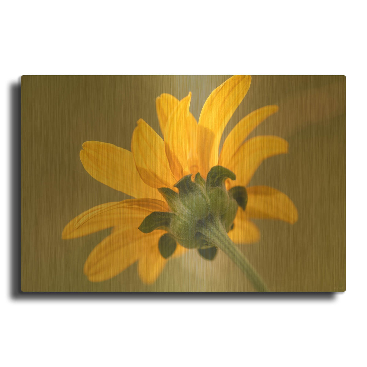 'Textures 18' By Gordon Semmens Gold Metal Wall Art