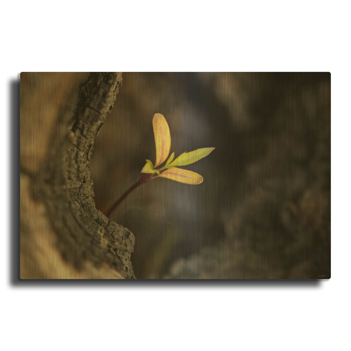 'Textures 32' By Gordon Semmens Gold Metal Wall Art