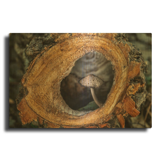 'Textures 40' By Gordon Semmens Gold Metal Wall Art
